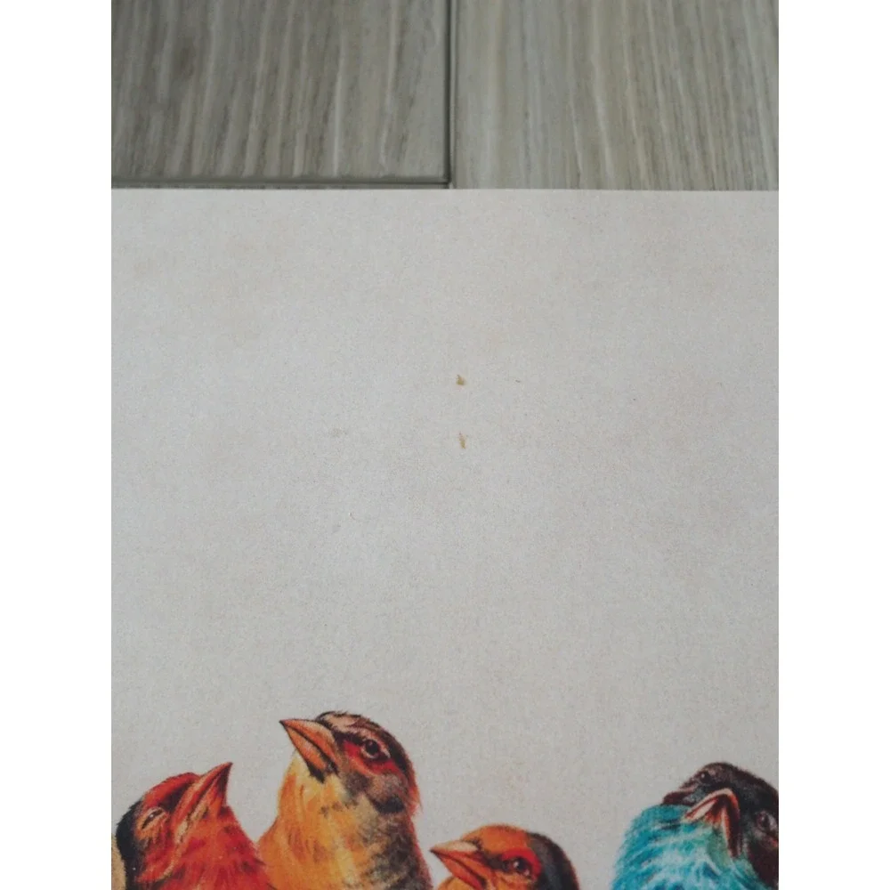 Bird Lovers Notes Notebook Vintage Songbirds Lined Journal Naturecore 8x10